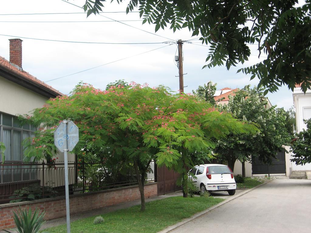 Green Apartment Novi Sad Luaran gambar