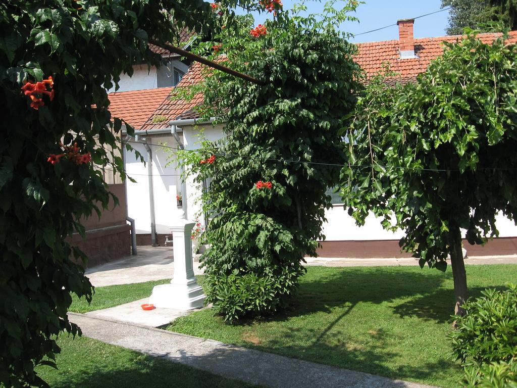 Green Apartment Novi Sad Luaran gambar