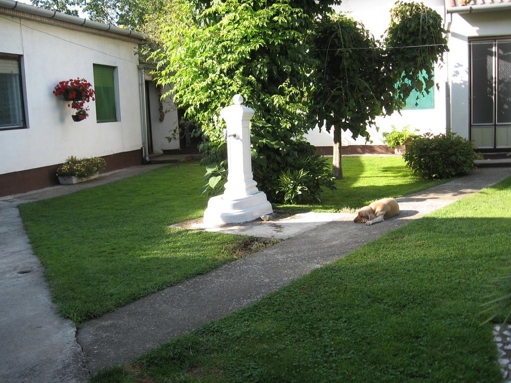 Green Apartment Novi Sad Luaran gambar